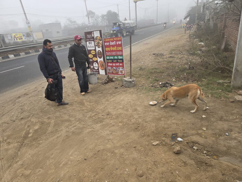 ਬੇਜ਼ੁਬਾਨ ਜਾਨਵਰਾਂ ਦੀ ਭੁੱਖ ਮਿਟਾ ਮਨਾਇਆ ਨਵਾਂ ਸਾਲ ਸਤਬੀਰ ਜੌੜਾ ਅਤੇ ਕ੍ਰਿਸ਼ਨ ਕੁਮਾਰ 